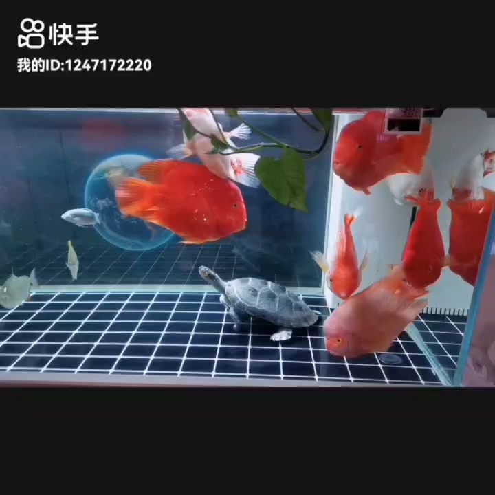 元宵節快樂??????事事順遂，會越來越好，南無阿彌陀佛??????