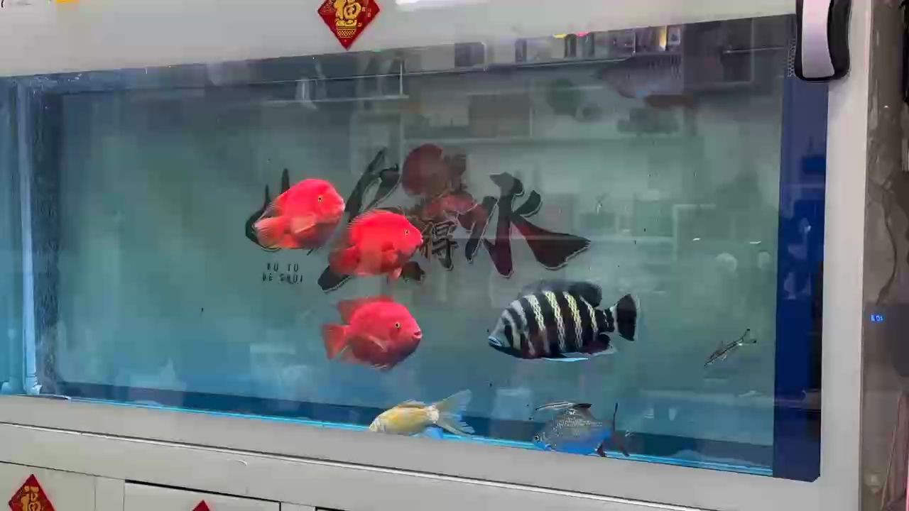 陪伴的第88天