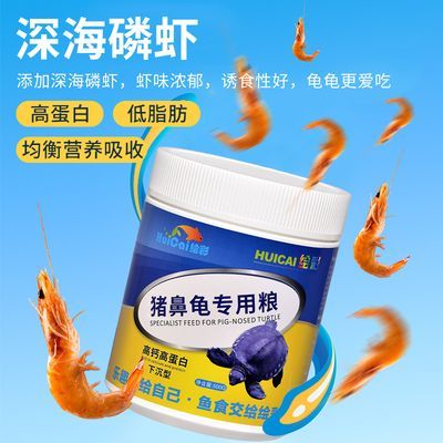 豬鼻龜愛吃什么：豬鼻龜喜歡吃什么，豬鼻龜吃什么比較好