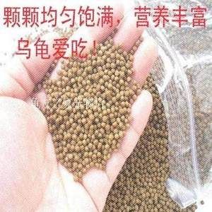 豬鼻龜愛吃什么：豬鼻龜喜歡吃什么，豬鼻龜吃什么比較好