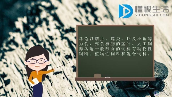 豬鼻龜愛吃什么：豬鼻龜喜歡吃什么，豬鼻龜吃什么比較好
