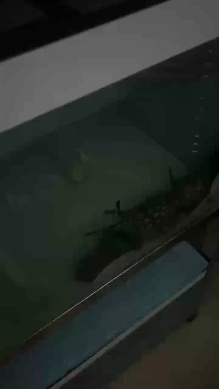 開飯集合