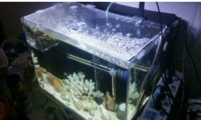 60的魚缸用多少斤濾材：魚缸過濾材料的使用 60的魚缸用多少斤濾材：魚缸過濾材料的使用 魚缸百科 第2張