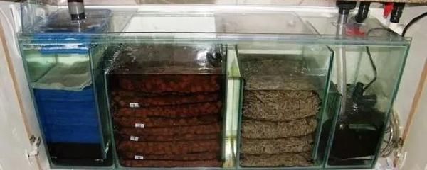 60的魚缸用多少斤濾材:魚缸過濾材料的使用 魚缸百科 第3張 60的魚缸用多少斤濾材:魚缸過濾材料的使用 60的魚缸用多少斤濾材:魚缸過濾材料的使用 魚缸百科 第3張