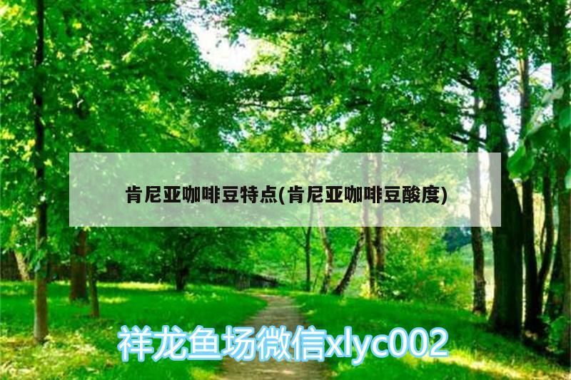 肯尼亞咖啡豆特點(肯尼亞咖啡豆酸度)