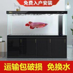 yee下過濾魚缸安裝視頻：yee魚缸安裝視頻教程和注意事項yee魚缸安裝過程和注意事項