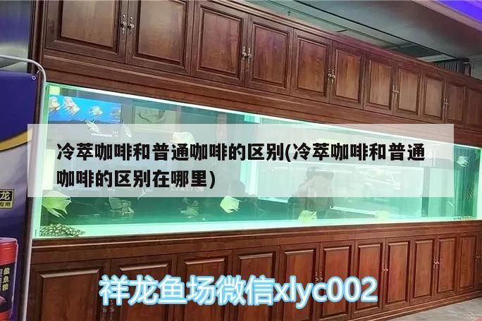 冷萃咖啡和普通咖啡的區別(冷萃咖啡和普通咖啡的區別在哪里)