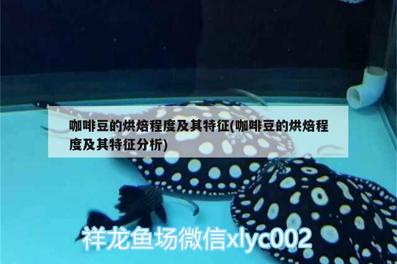 龍魚干蝦有營養嗎 咖啡豆的烘焙程度及其特征(咖啡豆的烘焙程度及其特征分析) 馬來西亞咖啡 咖啡豆的烘焙程度及其特征(咖啡豆的烘焙程度及其特征分析) 咖啡豆的烘焙程度及其特征(咖啡豆的烘焙程度及其特征分析) 馬來西亞咖啡