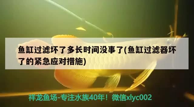 魚缸過濾壞了多長時間沒事了(魚缸過濾器壞了的緊急應對措施)