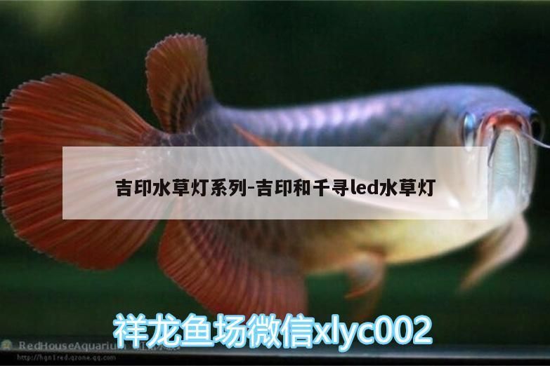 吉印水草燈系列:吉印和千尋led水草燈