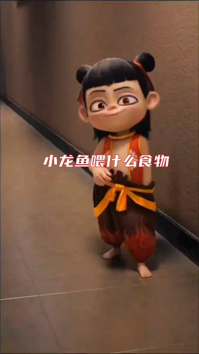 小龍魚喂食攻略，探尋適合小龍魚的各類優質食物