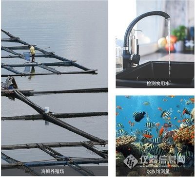 觀賞魚養殖基地，前景廣闊且具