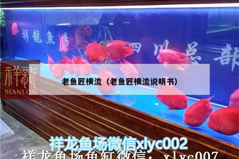 老魚匠橫流，全方位解析與使用指南（含說明書 老魚匠橫流，全方位解析與使用指南（含說明書 老魚匠