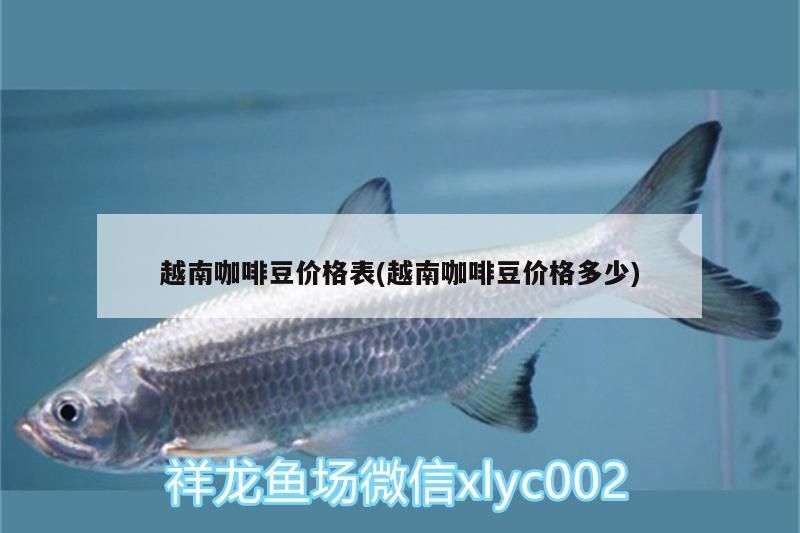 鸚鵡魚和銀龍魚混養怎樣喂食 咖啡豆價格全解析,最新價格表 馬來西亞咖啡 咖啡豆價格全解析,最新價格表 咖啡豆價格全解析,最新價格表 馬來西亞咖啡