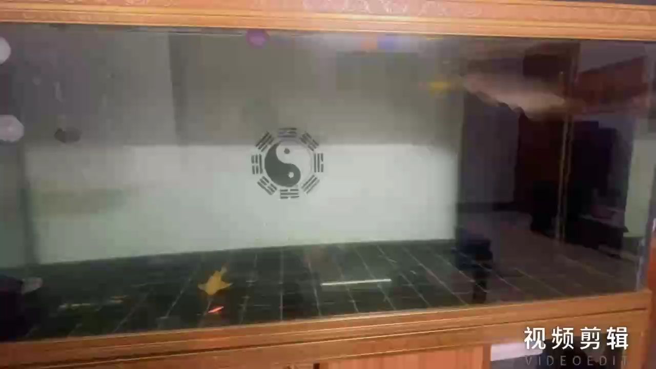 每日打卡，堅持的力量與自我提升的