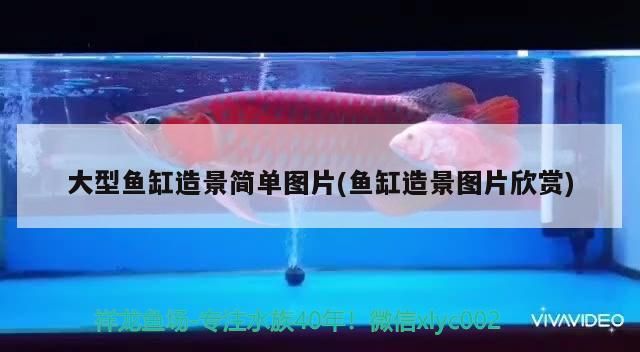 里魚死是否需換水？