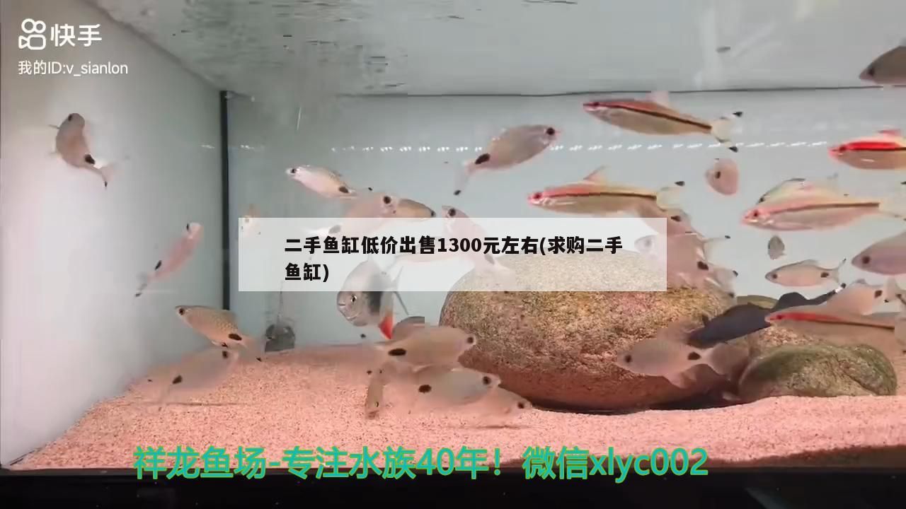 300 元求購二手魚缸，現(xiàn)有同價位優(yōu)質(zhì)