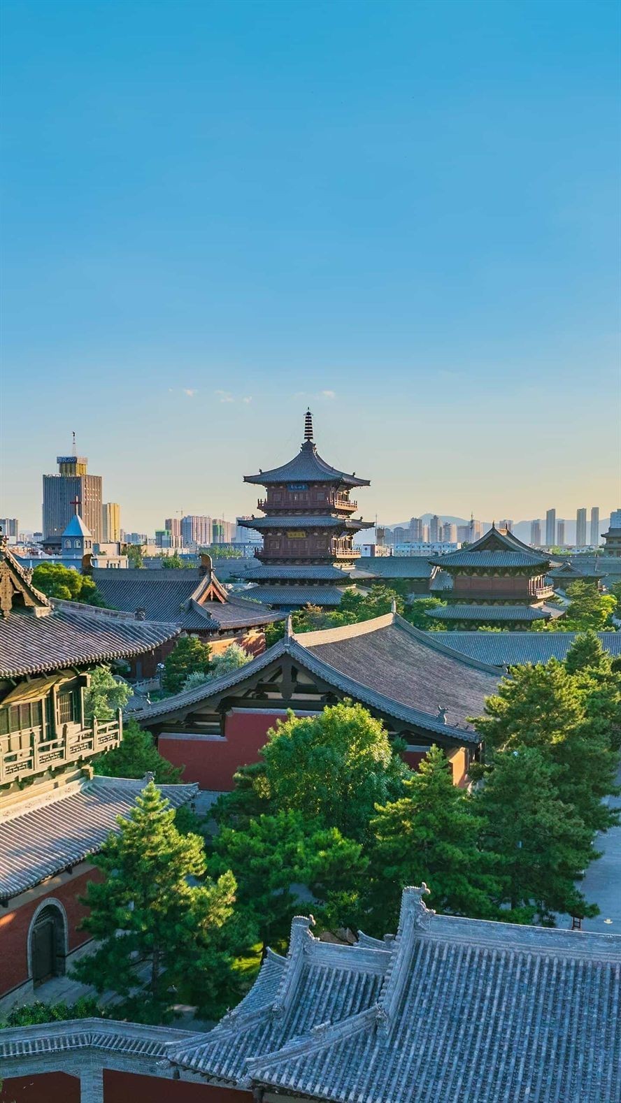 你未提供具體的內容呀，我沒辦法準確生成相應的長標題呢。
