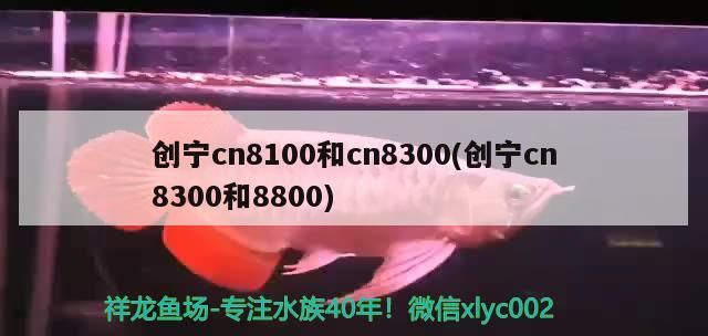 寧 CN8100、CN8300（含 8800