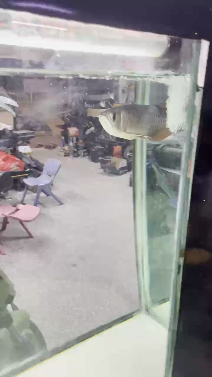 追手問題，背后隱藏的復雜成因與多元解決之道