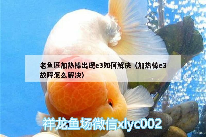 老魚匠加熱棒e3故障怎么辦？