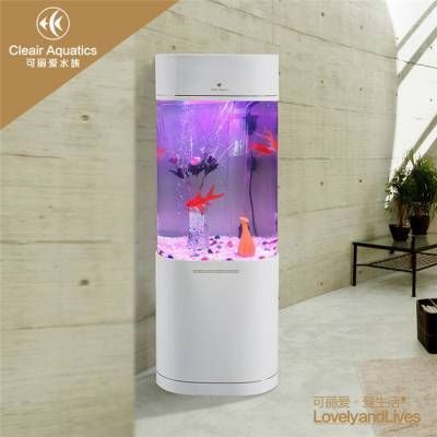 leair可麗愛品牌魚缸價格大揭秘，不同款式規格的cleair魚缸價位詳情