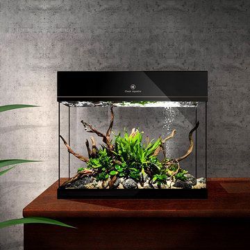 leair可麗愛品牌魚缸價格大揭秘，不同款式規格的cleair魚缸價位詳情