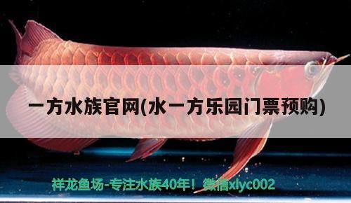 水族官網，水一方樂園門票預購開啟，暢享