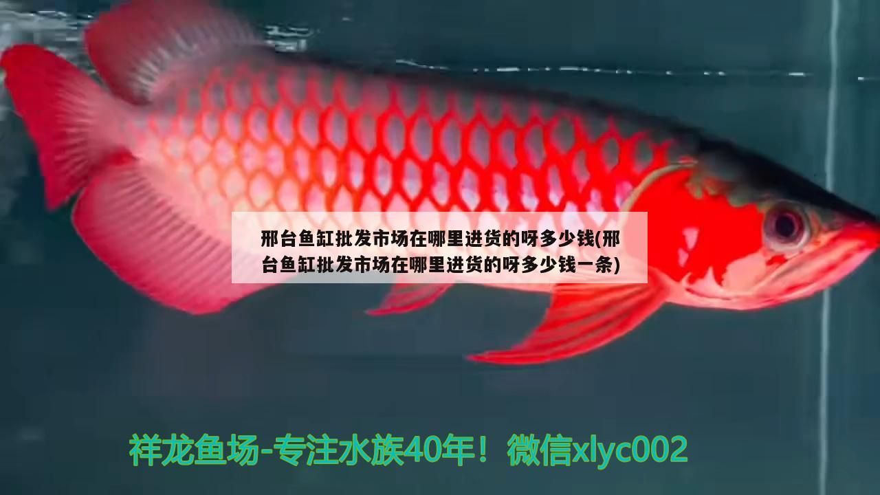 魚缸批發(fā)市場進(jìn)貨地點及價格大揭秘，一條多少錢