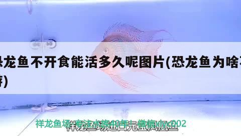 印嘉禾業(yè)務及客服電話揭秘，全方位解析其公司職能