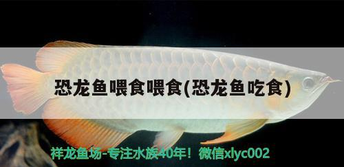 印嘉禾業(yè)務及客服電話揭秘，全方位解析其公司職能