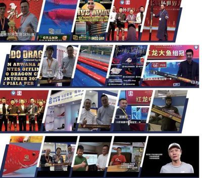 印燈用何種燈珠？LED燈珠，多色多樣