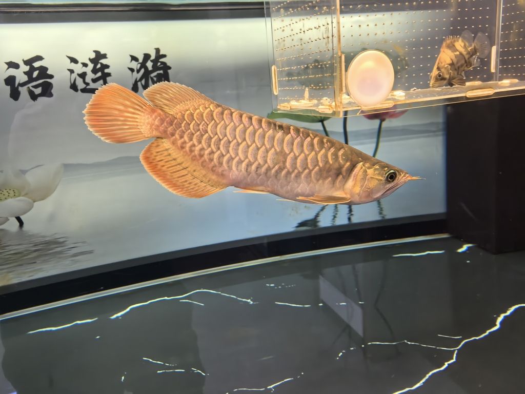 堅(jiān)持愛(ài)好，在時(shí)光中綻放熱愛(ài)，收獲別樣精彩人生