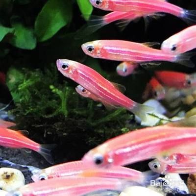 魚缸漏水修補攻略，