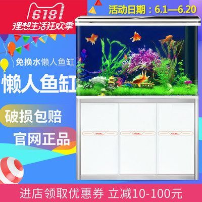 魚換水注意啥？祥龍魚場龍魚品種全解析，養魚必知 魚換水注意啥？祥龍魚場龍魚品種全解析，養魚必知 vs祥龍魚場 第3張