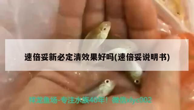 倍妥新必定清效果如何？