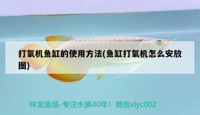 空氣泵原理圖解，揭秘開氧泵時魚隨氣泡