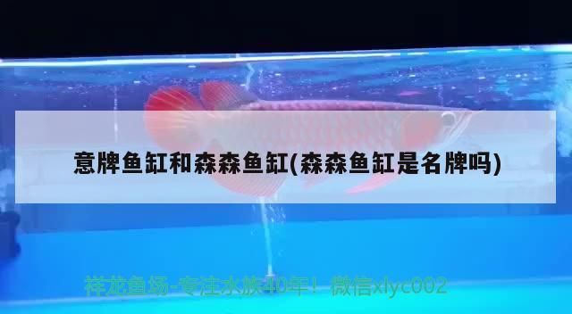 空氣泵原理圖解，揭秘開氧泵時魚隨氣泡