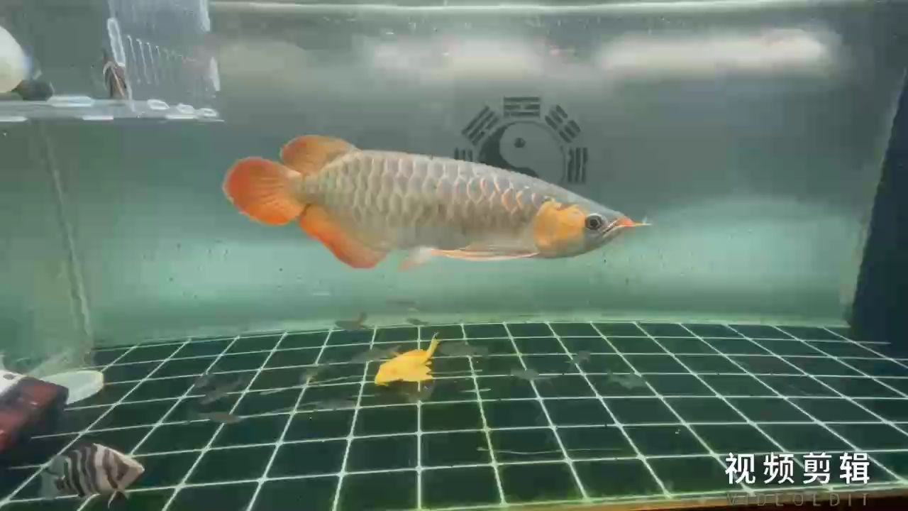 每日打卡，堅持的力量與自我成長的