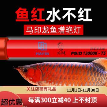 印水族燈究竟咋樣？