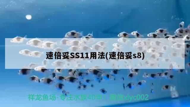 倍妥SS11（速倍妥s8）用法及