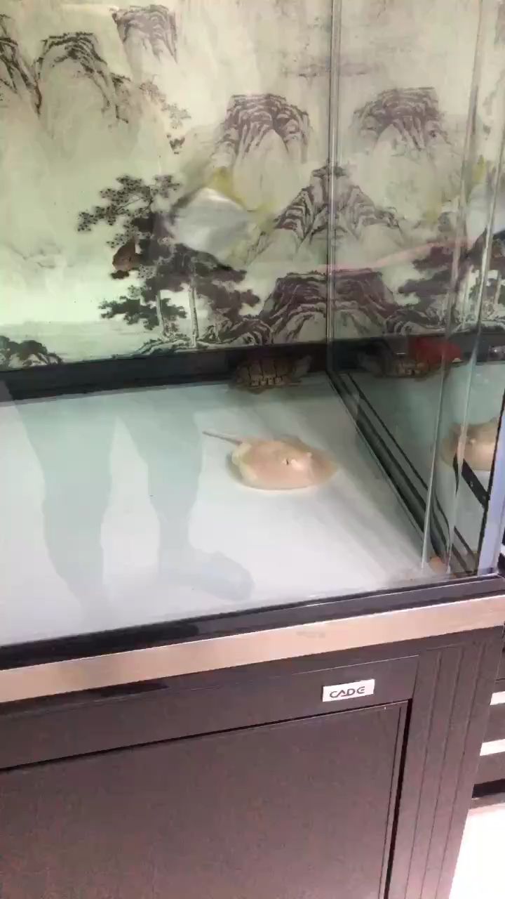 每日簽到，積累小行動，收獲大