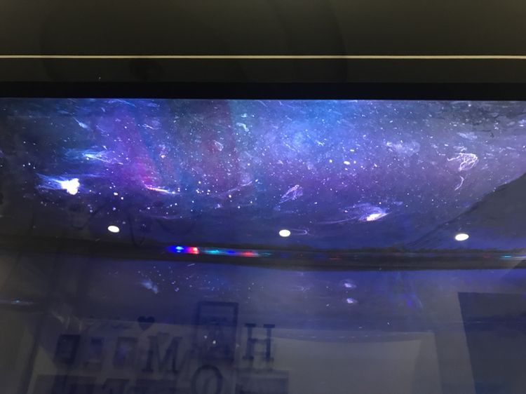 水面現(xiàn)蛋清狀物體，求助，