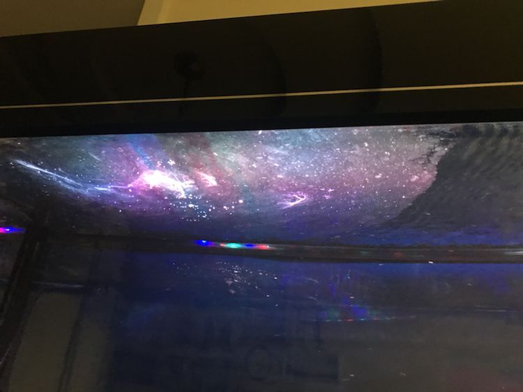 水面現(xiàn)蛋清狀物體，求助，