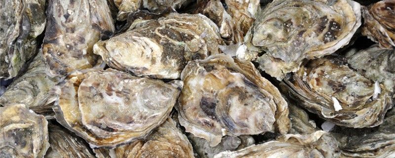 類有眼睛嗎有大腦嗎？