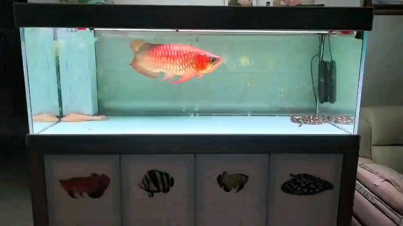 第11年，回首過往，那些難忘的點滴與成長