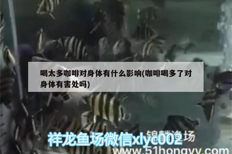 咖啡喝多了有害嗎？
