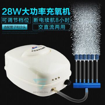 印刀鋒水草燈性能評測，能否放