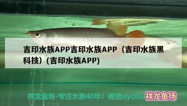 印水族APP，黑科技助力，開啟水族智能養殖新時代