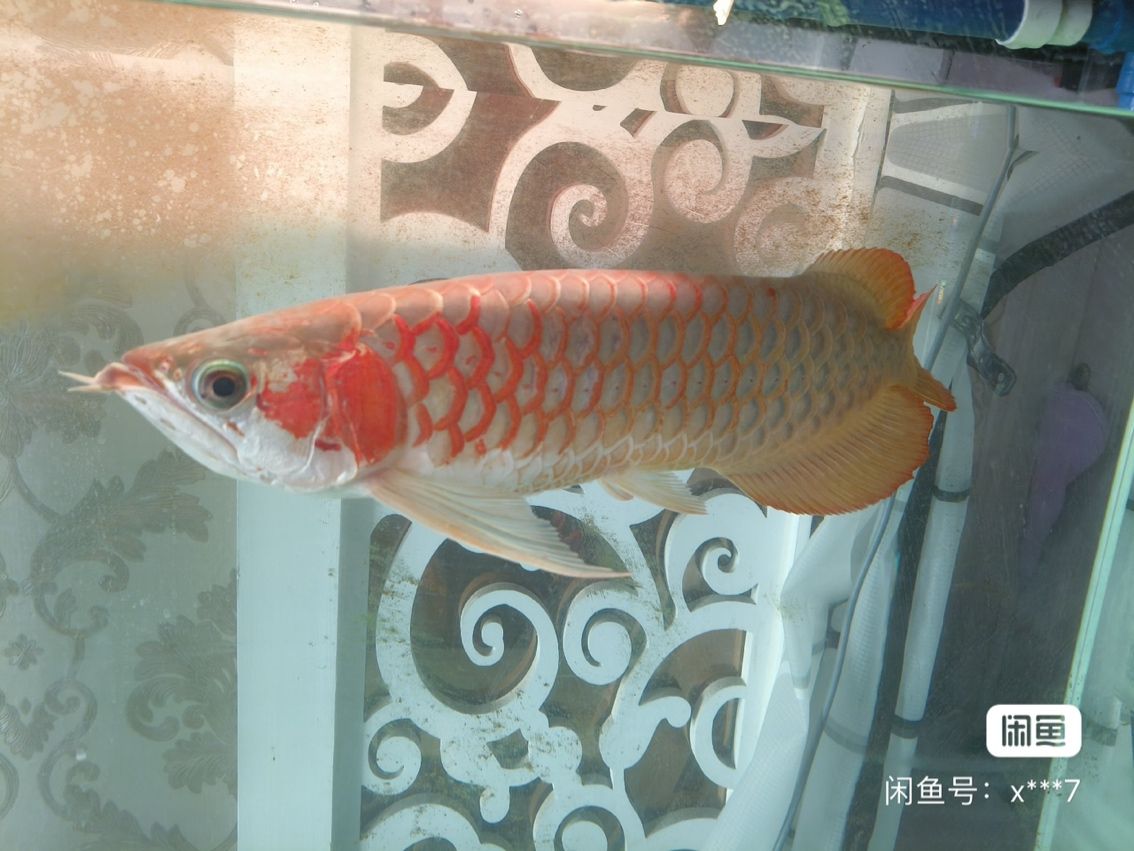A]與[內容B]大比拼，究竟哪個更勝一籌？